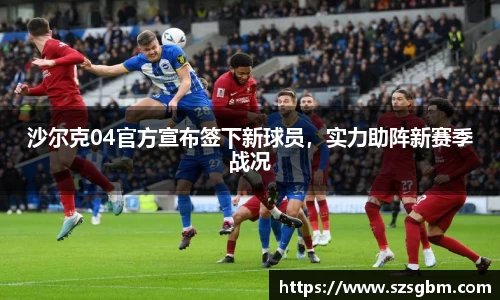 星欧娱乐下载官网