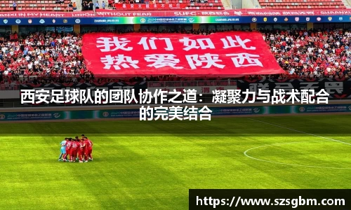 星欧娱乐