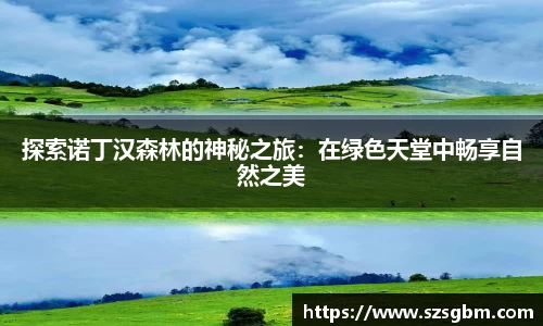 星欧娱乐登录