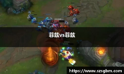 菲兹vs菲兹