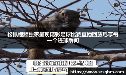 星欧娱乐