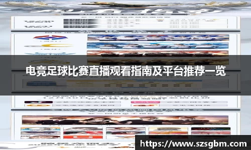 星欧娱乐