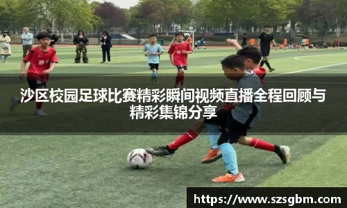 星欧娱乐